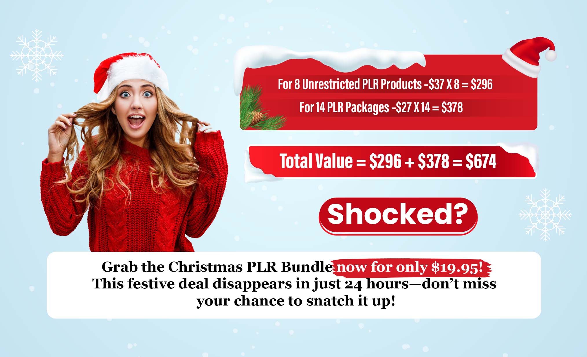 Christmas PLR Bundle 2025