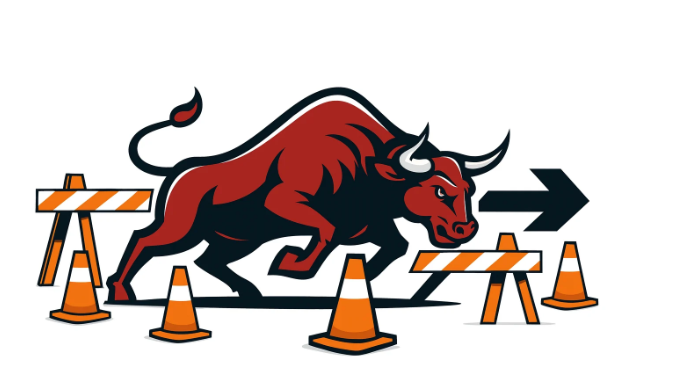 BullRush Traffic Review